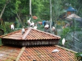 p1070252